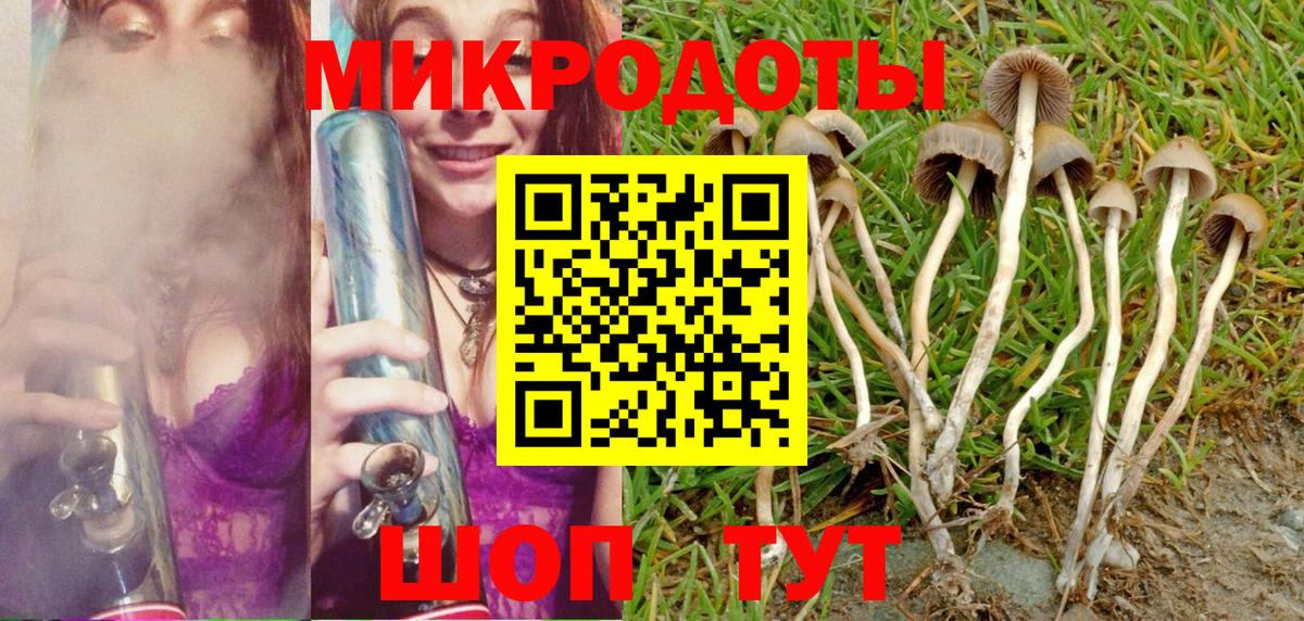 Псилоцибиновые грибы прущие грибы Кандалакша