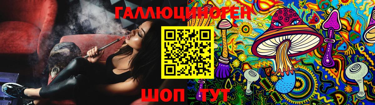 Псилоцибиновые грибы GOLDEN TEACHER  Вход с VPN  Кандалакша 
